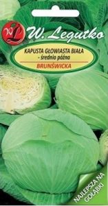 Kapusta biała Brunświcka