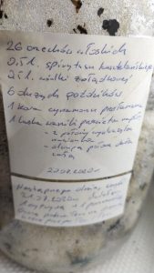 Orzechówka, czyli nalewka z orzecha włoskiego