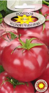 Pomidor Malinowy warszawski