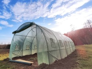 Na działce i w tunelu. Sezon 2021