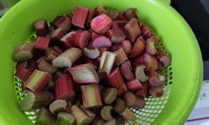 wino rabarbarowe z truskawkami | Svojskie.pl. Domowy wyrób wina i innych smakołyków.
