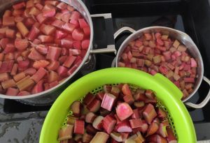 wino rabarbarowe z truskawkami | Svojskie.pl. Domowy wyrób wina i innych smakołyków.