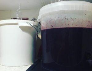 Wino z czarnej porzeczki i wino z wiśni