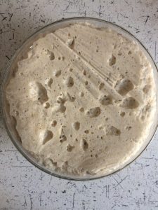 Wyrośnięte ciasto na svojski chleb